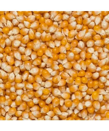Wholefood Earth Organic Popping Corn 2kg - GMO Free, Vegan, High Fibre | Certified Organic Sweet-And-Salty Snack - Buy Online on SooperMarket.com