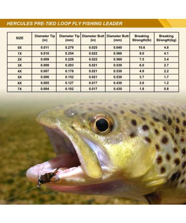 Hercules Pre-Tied Loop Fly Fishing Leader 6 Pack with Tapered Wallet 9FT - 4X, 4.9LB - 6pcs - Buy Online on SooperMarket.com