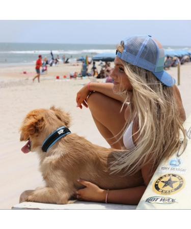 Black Rhino Comfort Collar | Super Soft Neoprene Dog Collar for All Breeds | Adjustable Reflective & Weatherproof - Large (Sports Blue/Gray) - Buy Online on SooperMarket.com