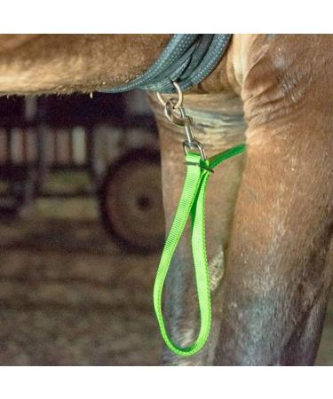 Dowoa LED Horse Harness - Robust & Comfortable Chest Strap for Safety | Best Visibility for Riding - Green - Buy Online on SooperMarket.com