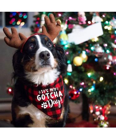 Dog Birthday Bandana Gotcha Day Pet Scarf Dog Adoption Bandana for Boys and Girls Dogs Cats Scarf Bibs Accessories for Pet Birthday Gift (Red) - Buy Online on SooperMarket.com