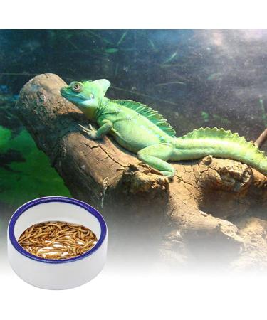 Reptile Bowl Spider Water Dish Round Food Bowl Escape Proof Feeder for Small Medium Size Pet Tortoise Lizard escape proof bowls for reptiles - Buy Online on SooperMarket.com