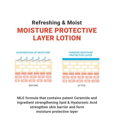 Buy ATOPALM MLE Lotion 120ml - Long-Lasting Moisturizer for Sensitive Skin | Korean Skincare | 48-Hour Hydration & Redness Relief - Buy Online on SooperMarket.com