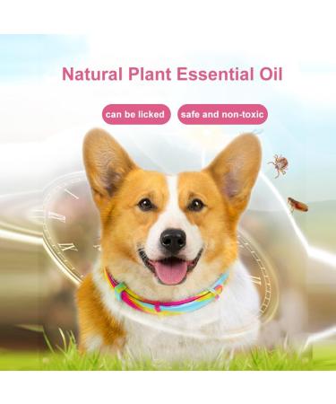 Cutially Waterproof Flea & Tick Protection Collar for Dogs & Cats | Adjustable Comb Included - Buy Online on SooperMarket.com