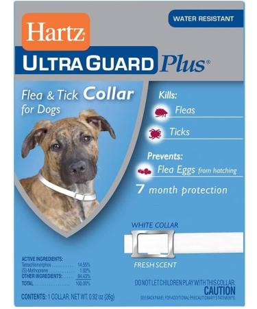 Hartz UltraGuard Flea & Tick Collar for Dogs and Puppies - 22" Neck, 7 Month Protection (pack of 4)