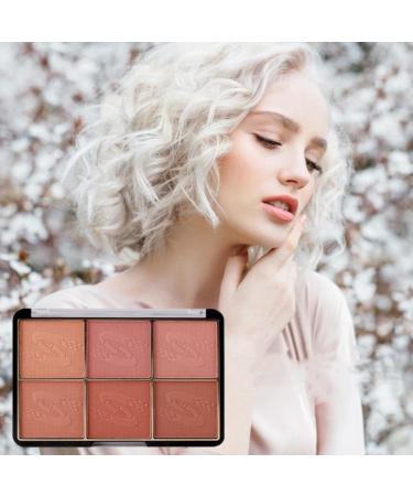 Go Ho 6-Color Face Blush Palette Light Matte Contour Makeup Kit - Set with Brush - Buy Online on SooperMarket.com