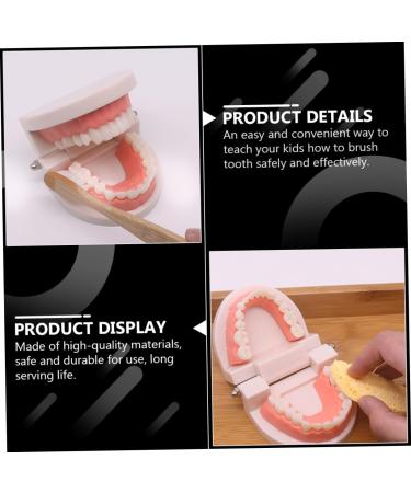 Minkissy Educational Tooth Brushing Toy Set - Early Learning Teeth Model for Kids | Reusable Pedagogical Teaching Tools - Buy Online on SooperMarket.com