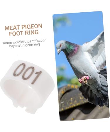 Yardwe 300 Pcs Pigeon Anklet Chicken Drumsticks Tag Plastic Foot Ring for Pigeon Poultry Pen Parrot Baby 1.3X1.3CMx3pcs Whitex3pcs - Buy Online on SooperMarket.com