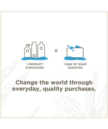 Soapbox Tea Tree Shampoo - Sulfate, Paraben, and Silicone Free, Color Safe, Vegan Hair Shampoo - 33.8 oz - Buy Online on SooperMarket.com