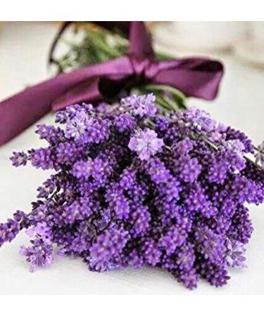 Shelley Kyle French Lavender Mini Gift Set - Buy Online on SooperMarket.com