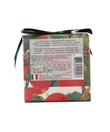 Nesti Dante Gli Officinali Soap - Fruit of Strawberry Bush & Sage | Vitaminic & Refreshing | 7 oz - Buy Internationally - Buy Online on SooperMarket.com