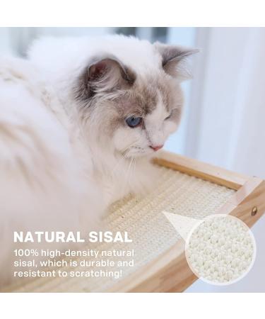 Pecute Cat Window Perch Sisal Scratcher 2-in-1 Hammock Seat | Heavy-Duty Suction Cups | Holds up to 30lbs - Buy Online on SooperMarket.com