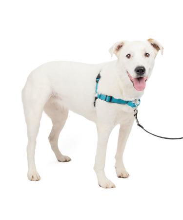 PetSafe Deluxe Easy Walk Dog Harness - Martingale Loop with D-ring Stops Pulling - Training & Behavior Aid for Good Leash Manners - Reflectivity Enhances Visibility in Low Light - Comfortable Padding Ocean/Black Medium/Large