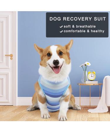 Newsbirds Dog Surgery Recovery Suit for Small Dogs - XL Blue | Post-Op Puppy Wound Protection - Buy Online on SooperMarket.com
