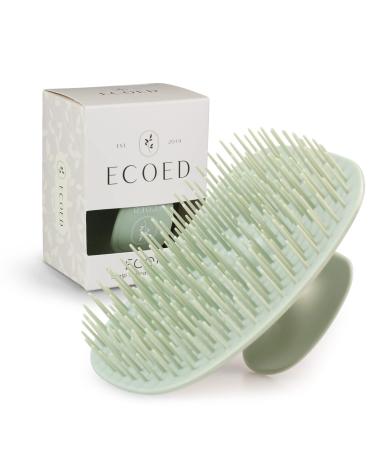 ecoed Scalp Massager Shampoo Brush Scalp Scrubber for Dandruff Removal  Scalp Care Hair Brush Wet & Dry detangler for Men and Women.Suitable for Short Medium Hair(Green) 1PC Green