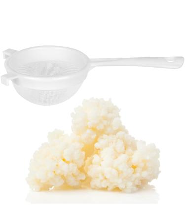 Curly Superfood Bio Kefirilz Set - 10g Kefirkelkel + Sieb from German Production - Real Milk Kefir simply make yourself - organic kefir tubers 10G as a kefir starter cultures for delicious organic kefir 10 g (1 Pack)