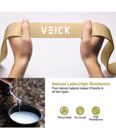 VEICK Resistance Bands Set of 4 - Heavy Stretch Exercise Bands for Men & Women | Pull Up Assistance & Home Gym Fitness Equipment - Buy Online on SooperMarket.com