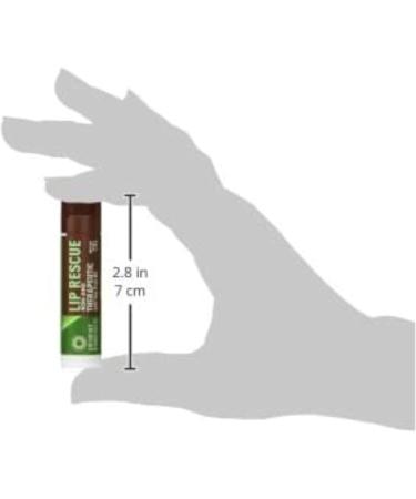 DESERT ESSENCE Tea Tree Lip Balm - 24 Piece Display | Natural Moisturizing Lip Care for Healthy Lips - Buy Internationally - Buy Online on SooperMarket.com