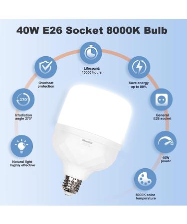 UBeesize Softbox Photography Lighting Kit - Professional 30x30 Hexagon Softbox with 2pcs 40W Daylight Bulbs for Portraits, Advertising, and Video Recording - Buy Online on SooperMarket.com