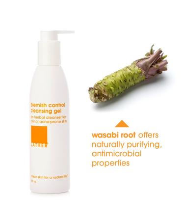 LATHER Blemish Control Cleansing Gel | Acne Face Wash for Oily & Acne-Prone Skin | Natural & Gentle Cleanser | 6 Fl Oz - Buy Now - Buy Online on SooperMarket.com