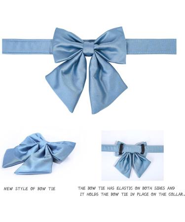 Lionet Paws Dog Collar Fly - Comfortable Silk Collar with Removable Fly for Small Dogs (25-40cm) - Blue - Buy Online on SooperMarket.com