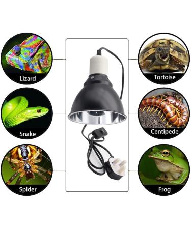 Hisunfarm Reptile Pet Heat Lamp Holder with Clip | 300 Watt UVA/UVB Bulb Guard for Lizard, Turtle, Snake, Spider & Chick - Buy Online on SooperMarket.com