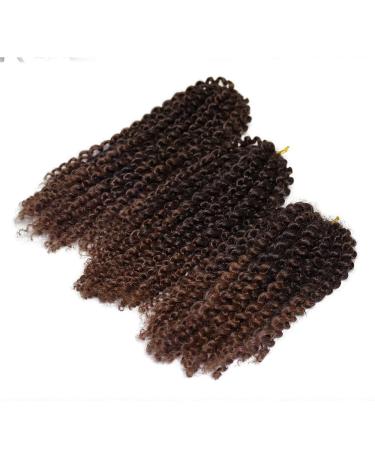 Eunice Hair 3 Packs/Lot T1B/30 Ombre Brown African -American braids Hair extension 8 inches 12 inches 12 inch Marlybob Crying (8 10 12 inches 1b 30) 8 10 12 inch 1b 30