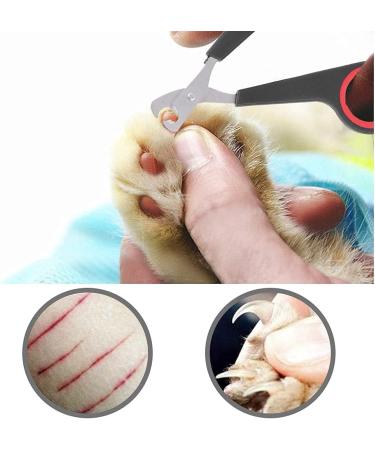 Bird Nail Trimmers Pet Bird Parrot Small Animals Accessory Grooming Tool Nail Scissors Clipper for Small Breeds Puppies Rabbits Cat - Buy Online on SooperMarket.com