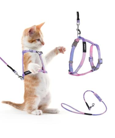 Giantree Cat Harness with Leash and Collar Set Adjustable H-shaped Kitten Harness Escape Proof Harness Glow in The Dark for Kitty Outdoor Walking (Gradient Purple)