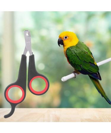 Bird Nail Trimmers Pet Bird Parrot Small Animals Accessory Grooming Tool Nail Scissors Clipper for Small Breeds Puppies Rabbits Cat - Buy Online on SooperMarket.com