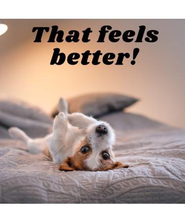 Flea Shampoo for Dogs and Flea Comb Bundle Premium Anti-Flea Dog Cleaning Products Pet Home Treatment for Fleas Natural Ingredients Deep Cleansing and Grooming Kit Easy to Use - Buy Online on SooperMarket.com