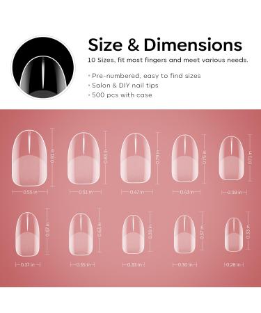 Modelones 500PC Nail Tips Set - Full Cover Squoval Nail Tips for DIY & Nail Studios | 10 Sizes Short Half Matte International Shipping - Buy Online on SooperMarket.com