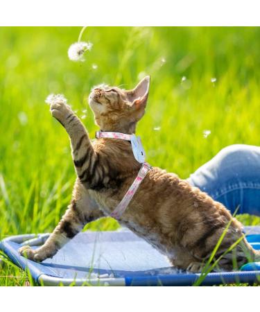 Adjustable Rabbit Leash & Cat Dishes - Perfect for Small Pets | International Shipping - Buy Online on SooperMarket.com
