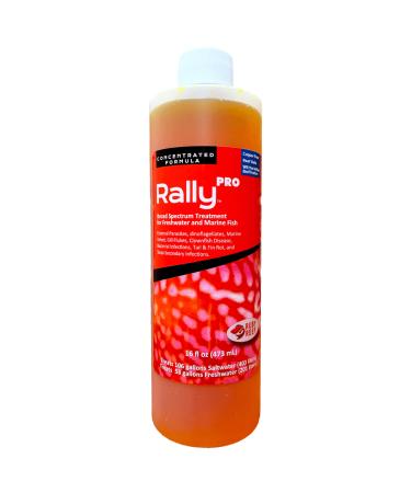 Ruby Reef Rally Pro - 16 oz