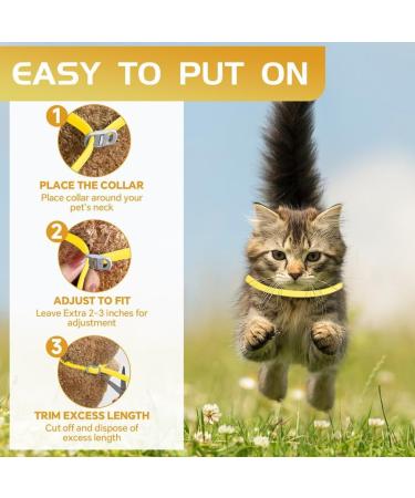 YOTANGO Cat Collar Repellent 1 Pack Cat Collar-Built-in Pant-Based Formula Strong Repellency Slow Release Pleasant Aroma Waterproof (Yellow) - Buy Online on SooperMarket.com