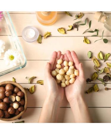 Oh! Nuts Oven Roasted Macadamia Nuts - Large-Sized, Unsalted, Gluten-Free Keto Snack | All-Natural, Additive-Free Healthy Nuts in Resealable Bag (1 lb) - Buy Online on SooperMarket.com