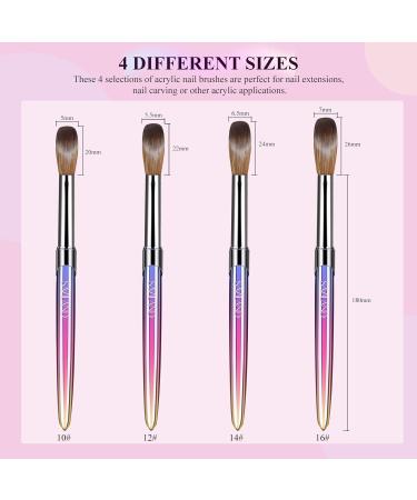 Saviland Acrylic Nail Brush Set - 4 Pcs Multicolored Acrylic & Gel Brushes (Size 10/12/14/16) for Nail Art - Perfect Gift for Women - Buy Online on SooperMarket.com