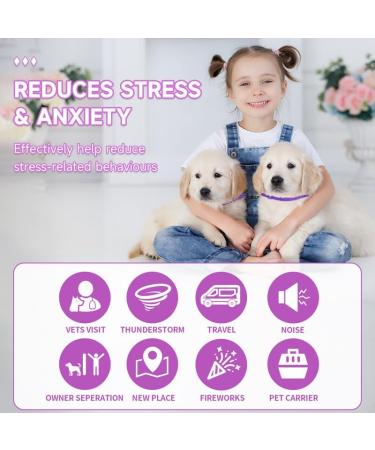 Woyamay Calming Collar for Dogs Adjustable Calming Dog Collar Helps Dogs Anxiety Relief Natural Calming Pheromone Dog Collar Lasts 60 Days Fits All Small Medium Large Dog 2 Pack Purple Purple-2 Pack - Buy Online on SooperMarket.com