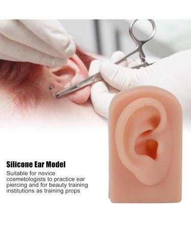 Flexible and Comfortable Human Ear Model for Acupuncture Training (Dark Skin Color) - Buy Online on SooperMarket.com