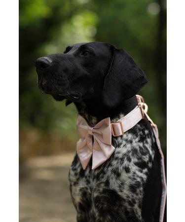 Shop Lionet Paws Bowtie Dog Collar - Silk Comfort for Medium Dogs (34-55cm) - Removable Flying Fine - Pink - Buy Online on SooperMarket.com