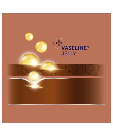 Vaseline Intensive Care Cocoa Radiant Spray Moisturizer - 6.5 oz (Pack of 2) | 24-Hour Hydration | Easy Application - Buy Online on SooperMarket.com