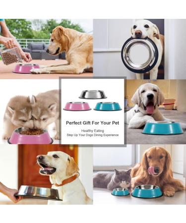 WERFORU 2 Pieces Dog Bowls Stainless Steel Dog Cat Bowls Pet Bowls For Feeding Water and Food Pink Medium Size M (2 Count) A-pink - Buy Online on SooperMarket.com