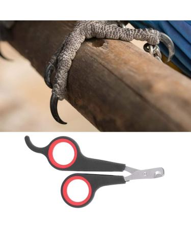 Bird Nail Trimmers Pet Bird Parrot Small Animals Accessory Grooming Tool Nail Scissors Clipper for Small Breeds Puppies Rabbits Cat - Buy Online on SooperMarket.com