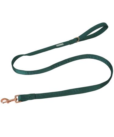 Lionet Paws Dog Leash - Silk Leash for Small Medium Large Dogs Matching Collars for Girls and Boys S Leash (Pack of 1) Green