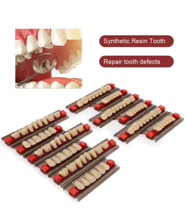 Buy Complete Resin Dentures | High-Quality Artificial Teeth & Dental Supplies for International Shipping - Buy Online on SooperMarket.com