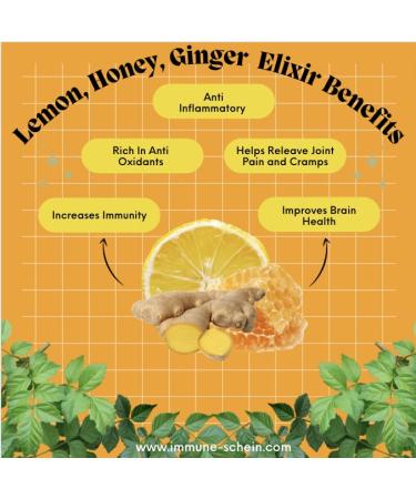ImmuneSchein Classic Ginger Elixir Shots - Organic Handcrafted Elixir with 3 Real Ingredients - No Water, Vinegar, or Preservatives - 8.5 fl oz - Buy Online on SooperMarket.com