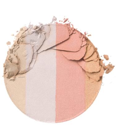 Wet n Wild Megaglo Illuminating Blush Palette Catwalk Pink - Blush & Highlighter Makeup - Buy Online on SooperMarket.com
