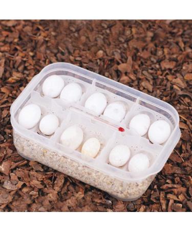 Cosiki Transparent Durable Professional Lizards Reptile Incubation Box Reptile Hatchery Box Reptile Tank Reptile Breeding Box for Hatching Gecko Lizard - Buy Online on SooperMarket.com