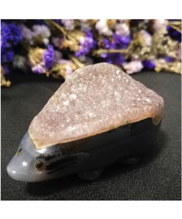 Natural Amethyst Hand Carved Gemstones Animals Cluster geode Quartz Crystals Hedgehog Minerals Home Decor Gift Home Collections (Color : Amethyst Size : 140g) 140g Amethyst - Buy Online on SooperMarket.com