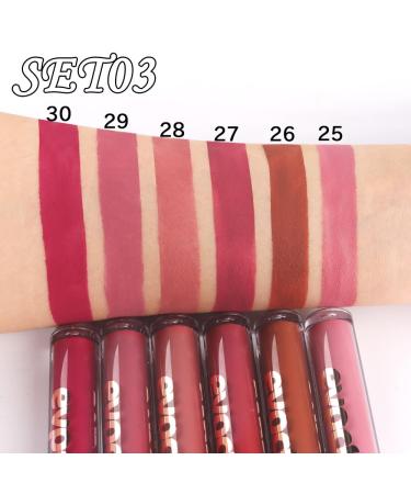 evpct Peony Flower Liquid Matte Lipstick - B-Set03 - Pack of 6 - Buy Online on SooperMarket.com